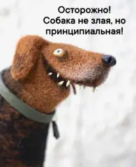 Новый коливинг
